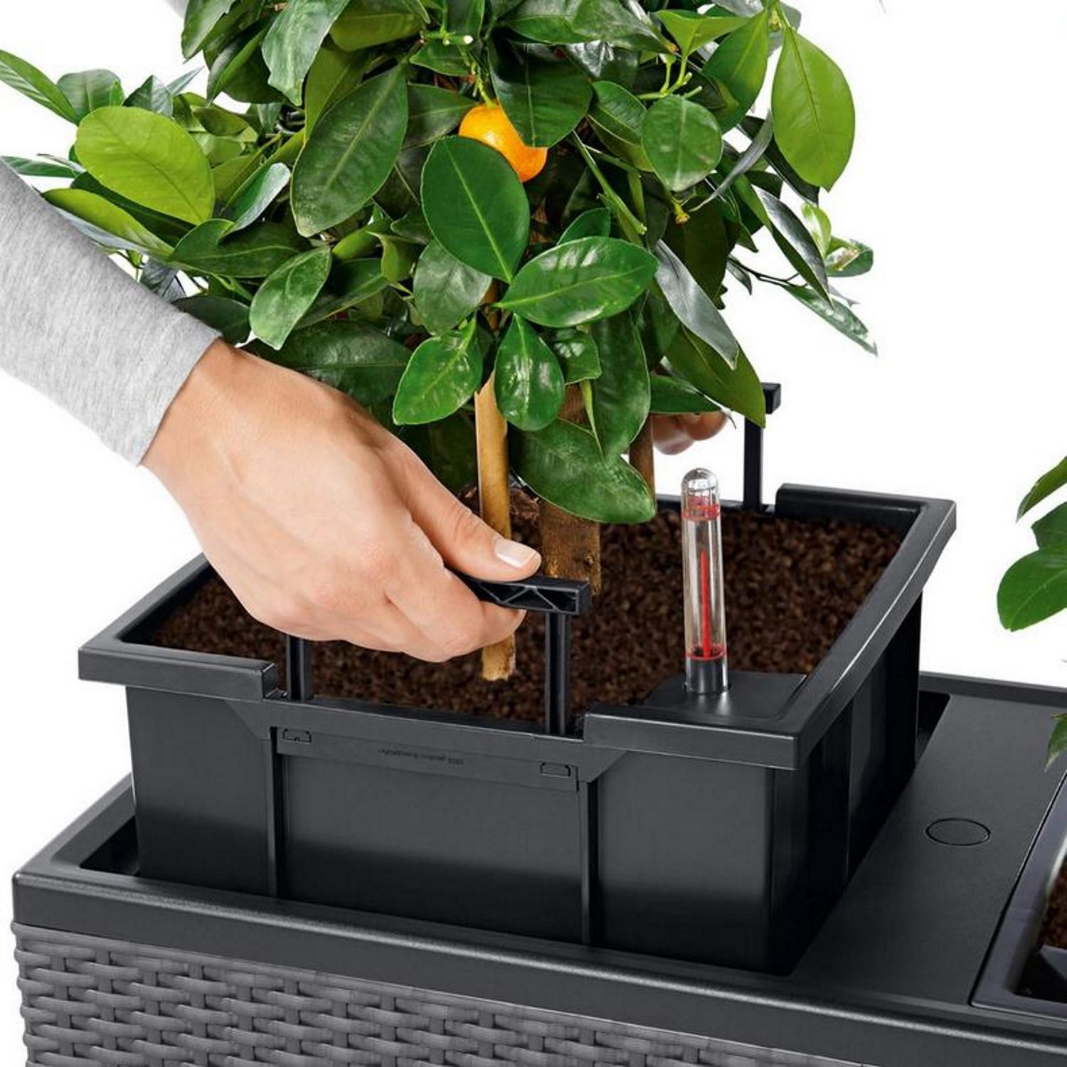 LECHUZA TRIO Cottage Trough Poly Resin Self-watering Planter LECHUZA TRIO Cottage Trough Poly Resin Self-watering Planter