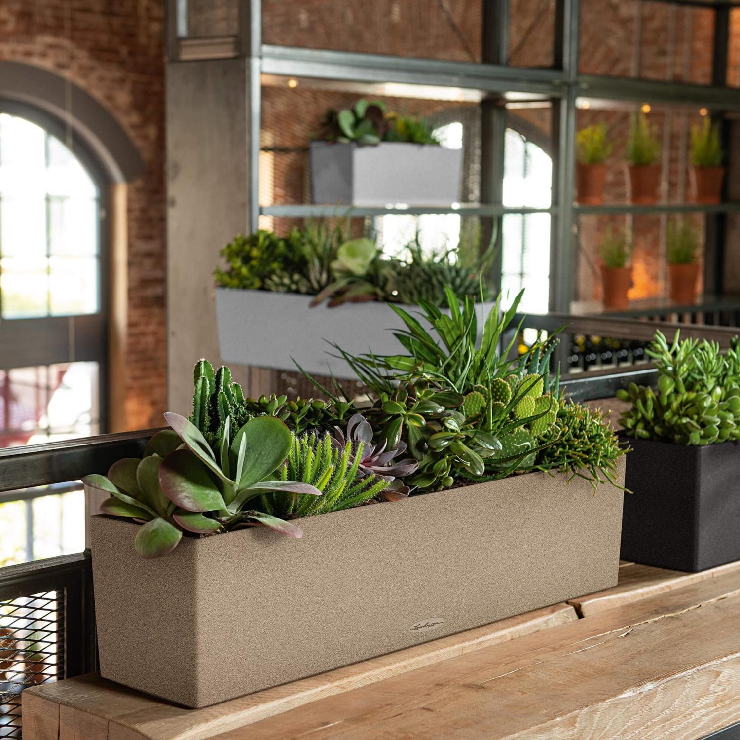 LECHUZA BALCONERA Stone Trough Poly Resin Self-watering Planter