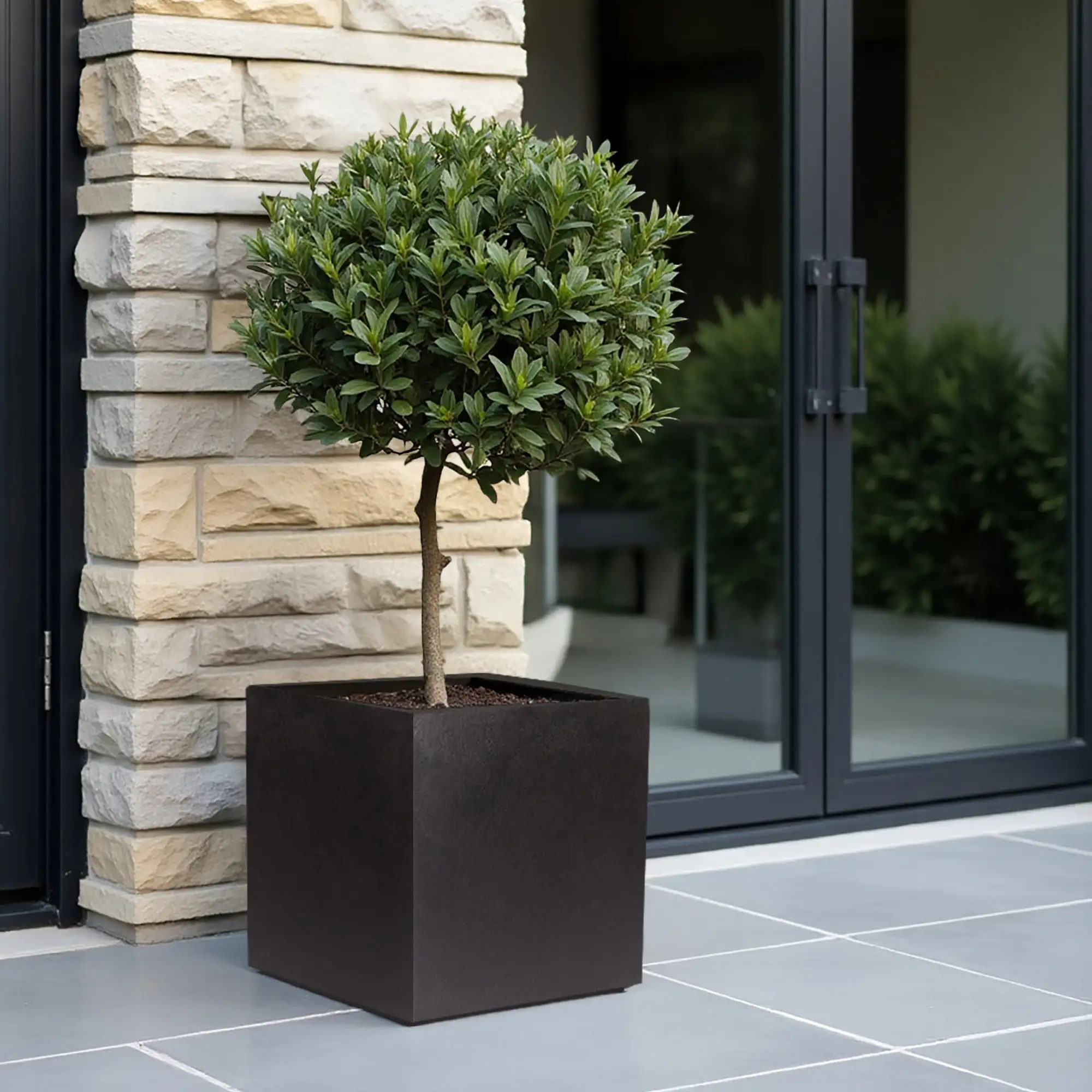 IDEALIST Lite Square Box Contemporary Light Concrete Planter