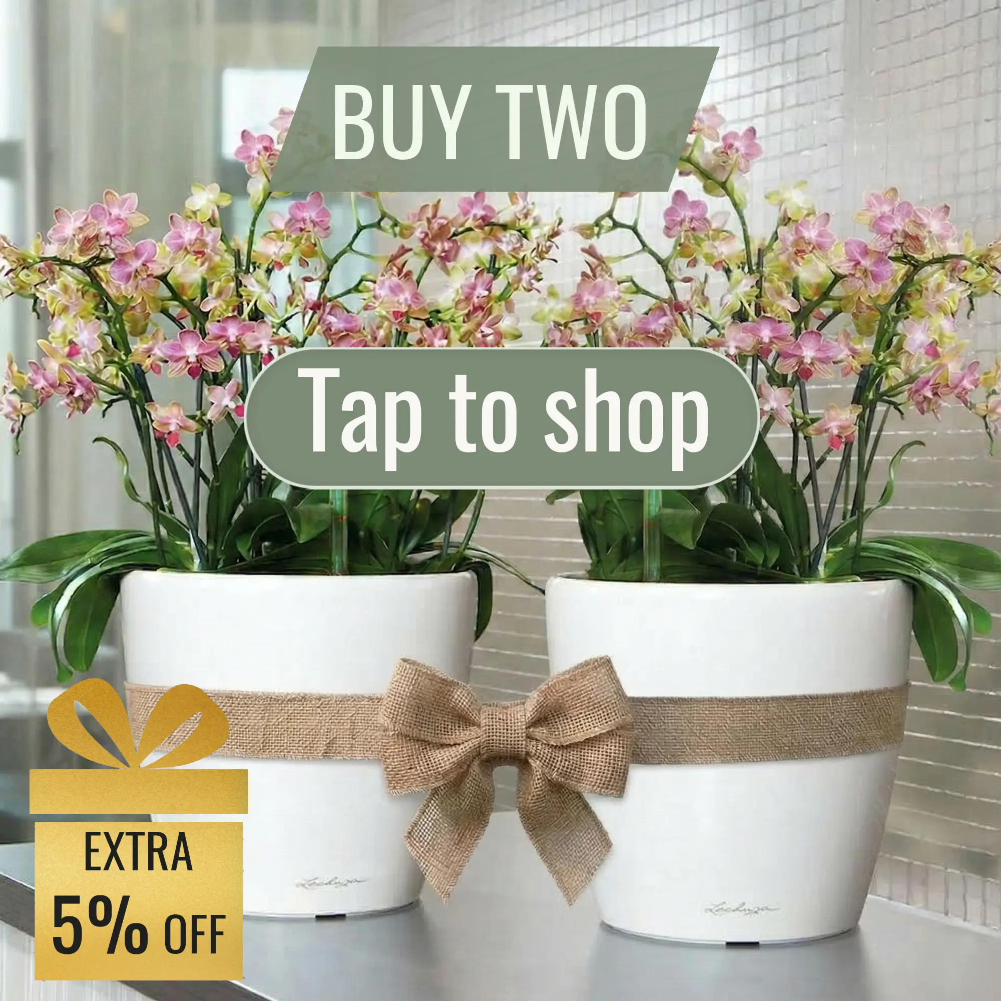 LECHUZA CLASSICO Color Round Poly Resin Self-watering Planter