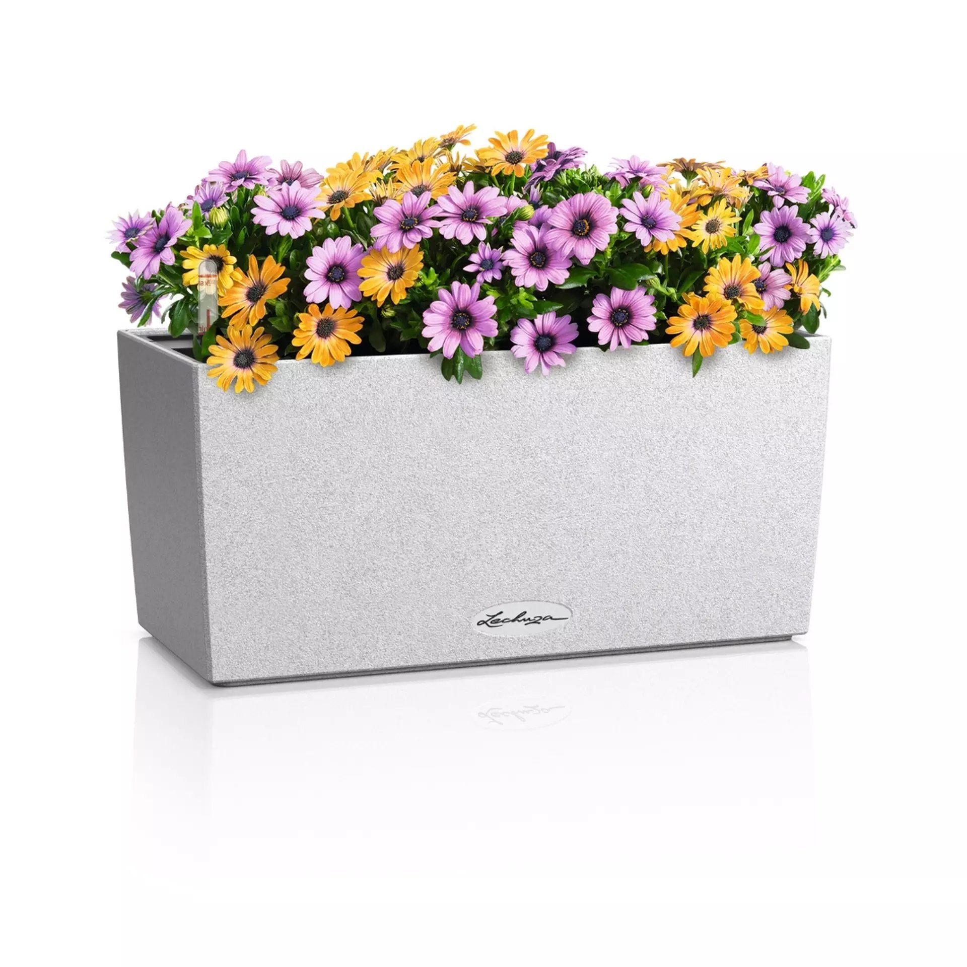 LECHUZA BALCONERA Stone Trough Poly Resin Self-watering Planter