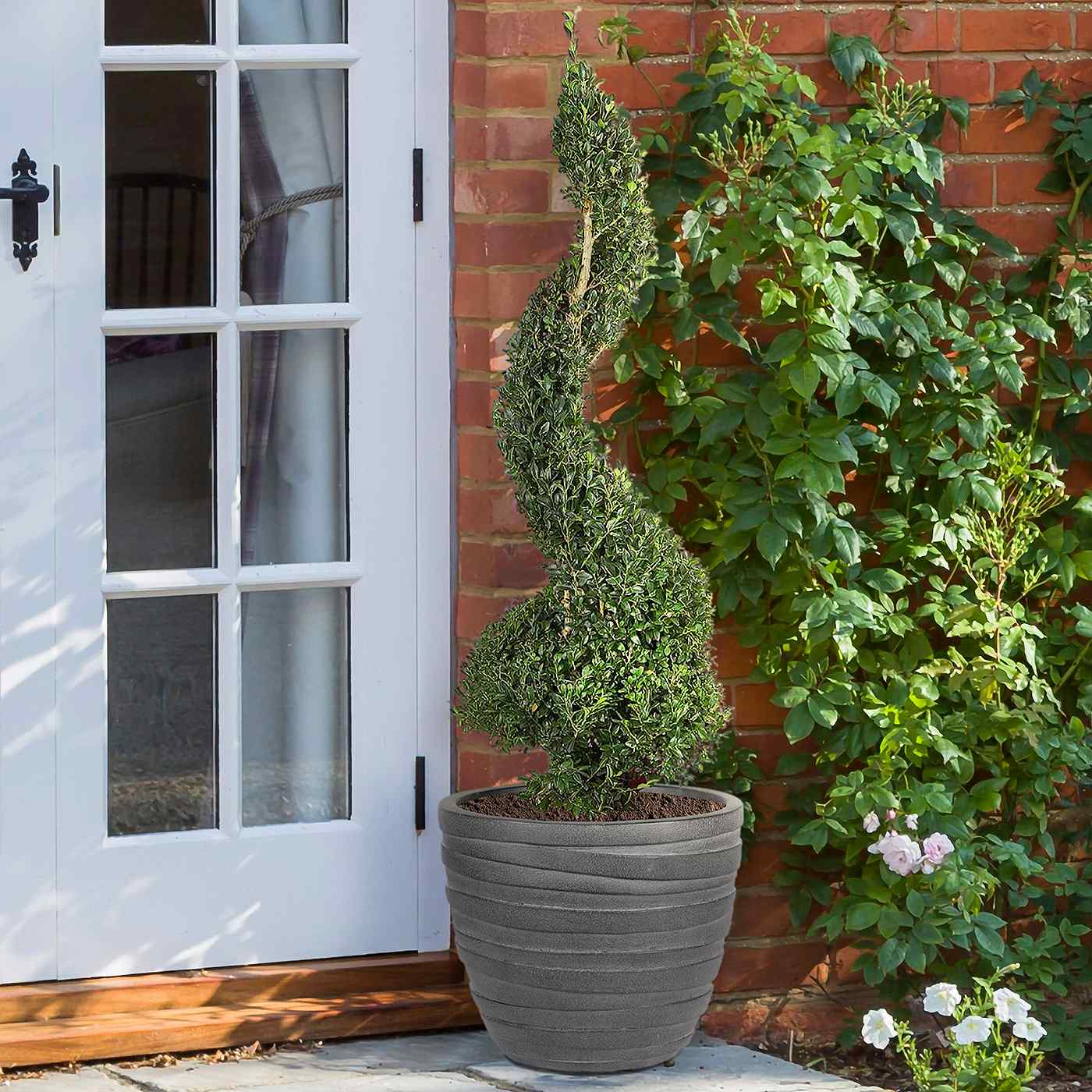 IDEALIST Lite Row Light Concrete Egg Planter