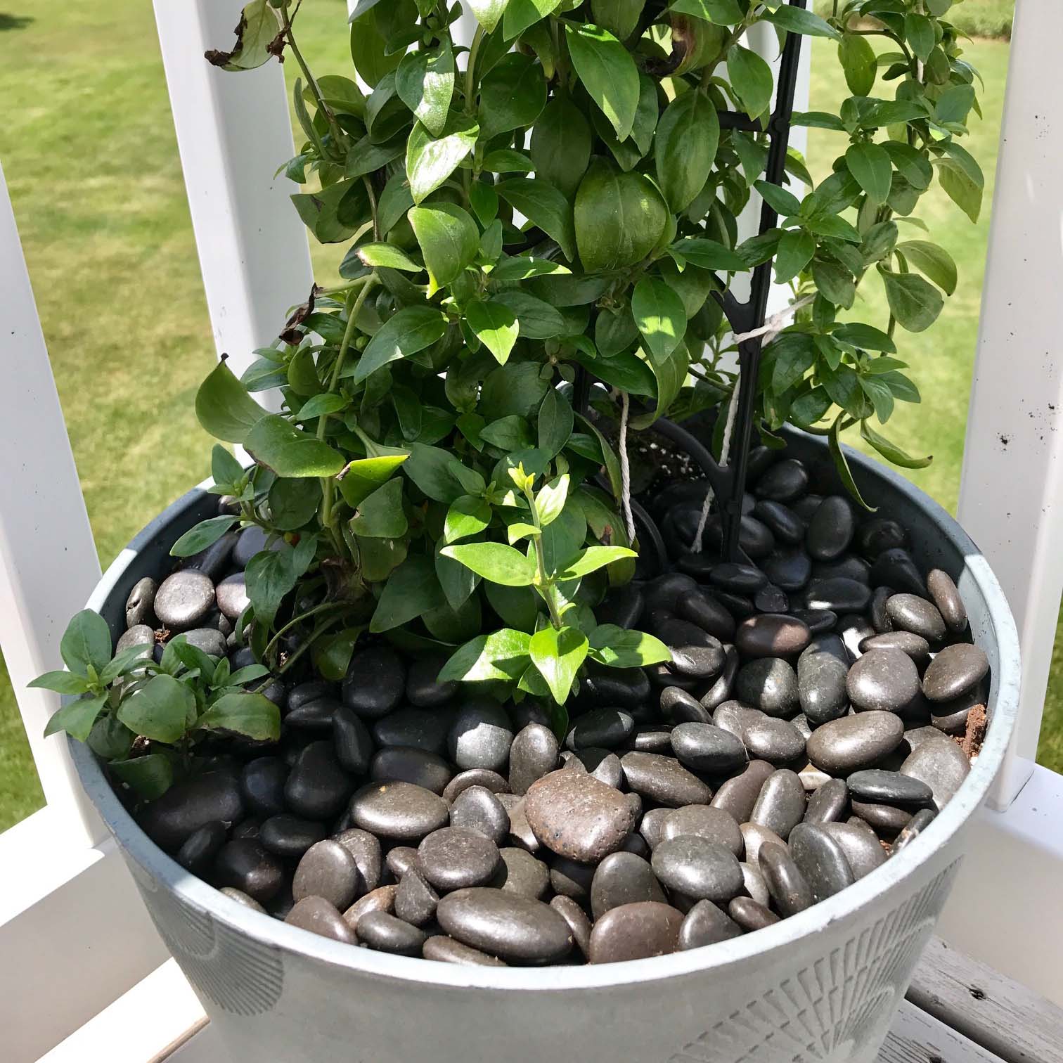 Plant Pot Toppers Stones Black River Pebbles