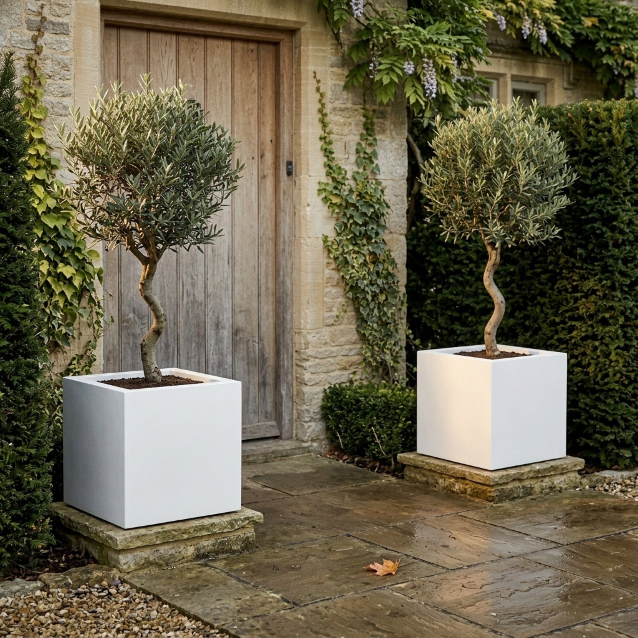 IDEALIST Lite Square Box Contemporary Light Concrete Planter