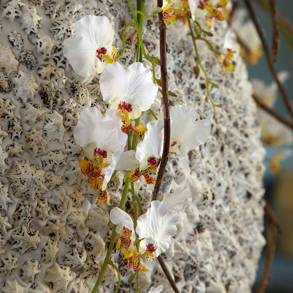 Beach Shell Round Polystone Indoor Planter