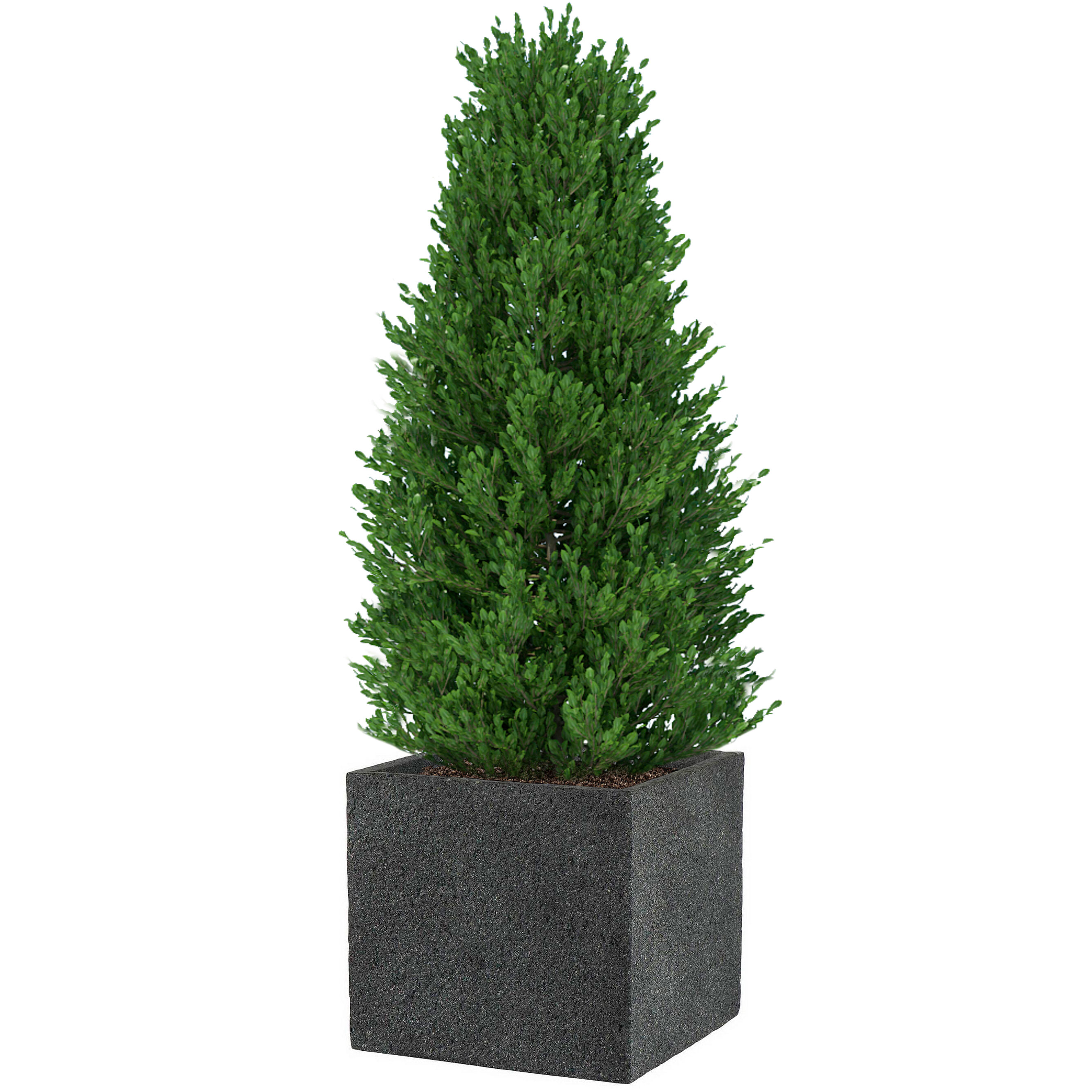 IDEALIST Lite Square Textured Concrete Effect Outdoor Planter