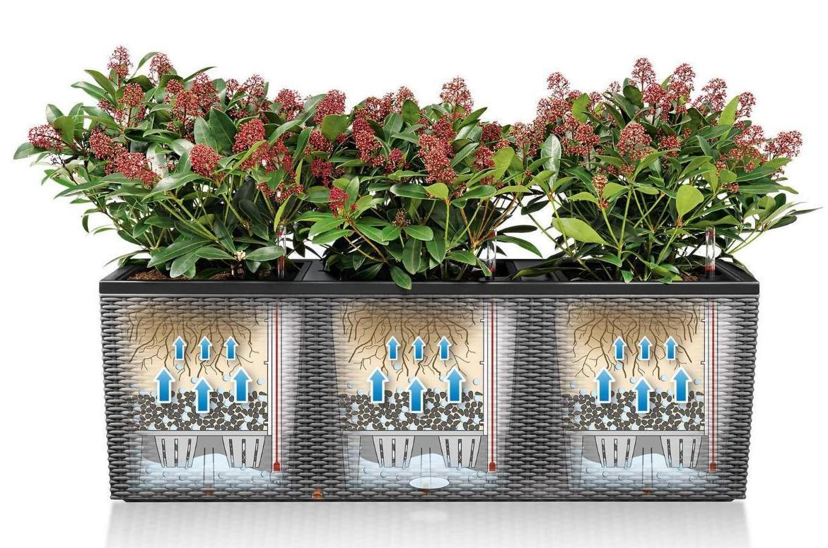 LECHUZA TRIO Cottage Trough Poly Resin Self-watering Planter