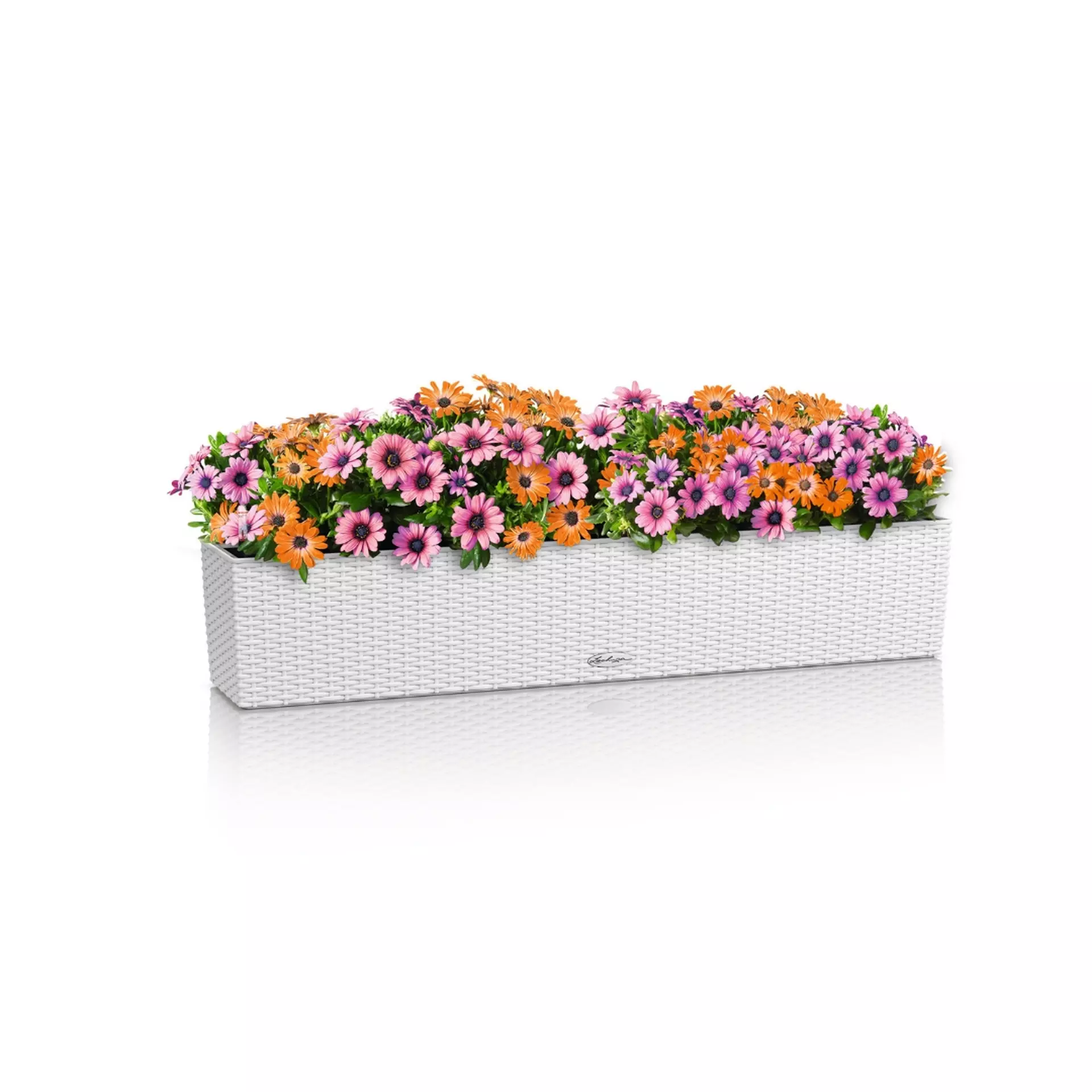 LECHUZA BALCONERA Cottage Trough Poly Resin Self-watering Planter