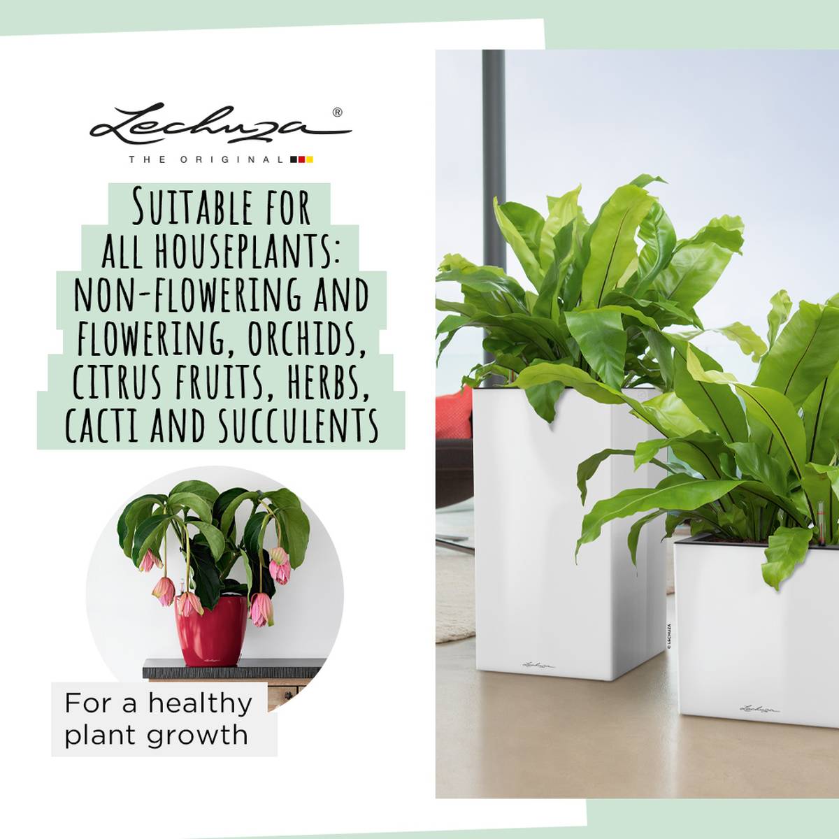 LECHUZA PON Peat-Free Houseplant Potting Mix for Indoor Plants Potting Compost for Plants Indoors