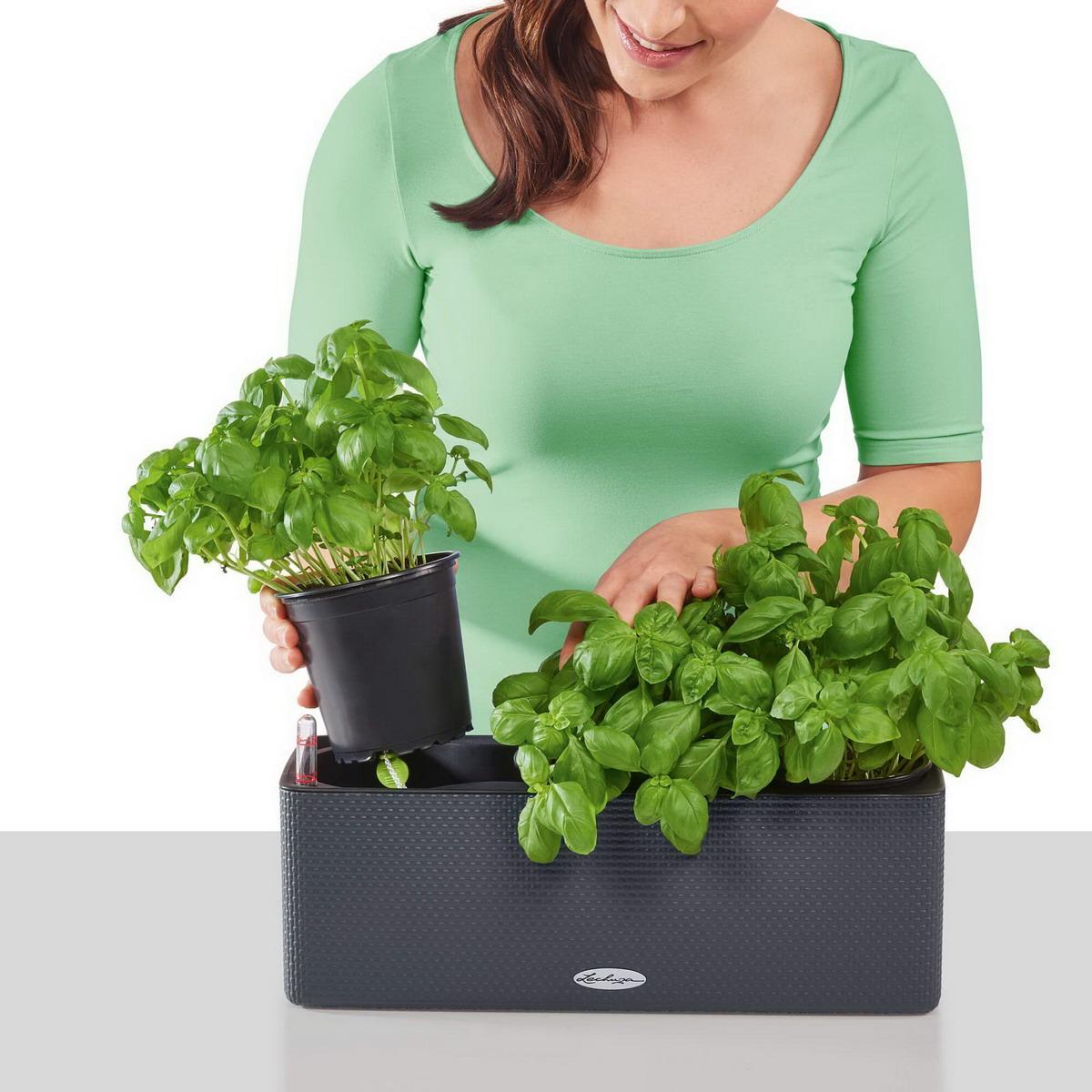 LECHUZA CUBE Color Square Poly Resin Indoor Self-watering Planter Set