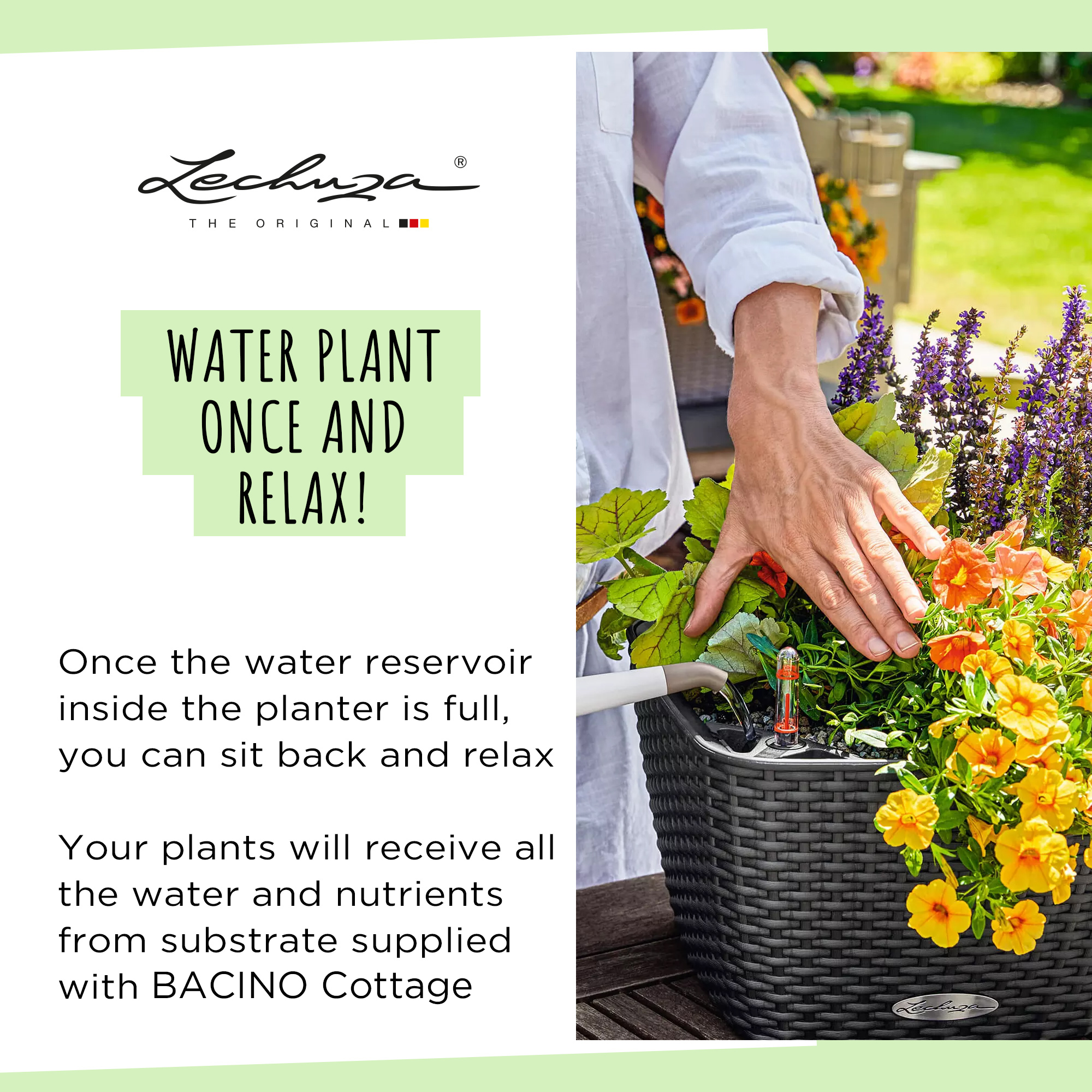 LECHUZA BACINO Cottage Square Poly Resin Self-watering Planter