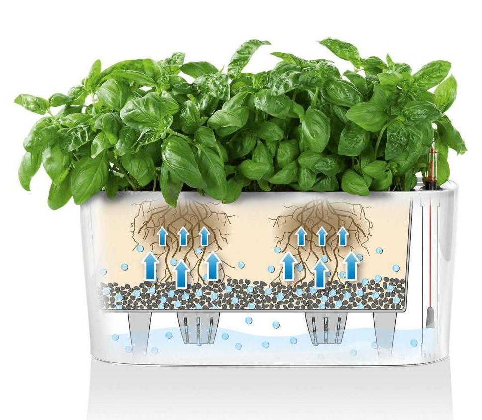 LECHUZA DELTA 10|DELTA 20 Poly Resin Indoor Self-watering Planter