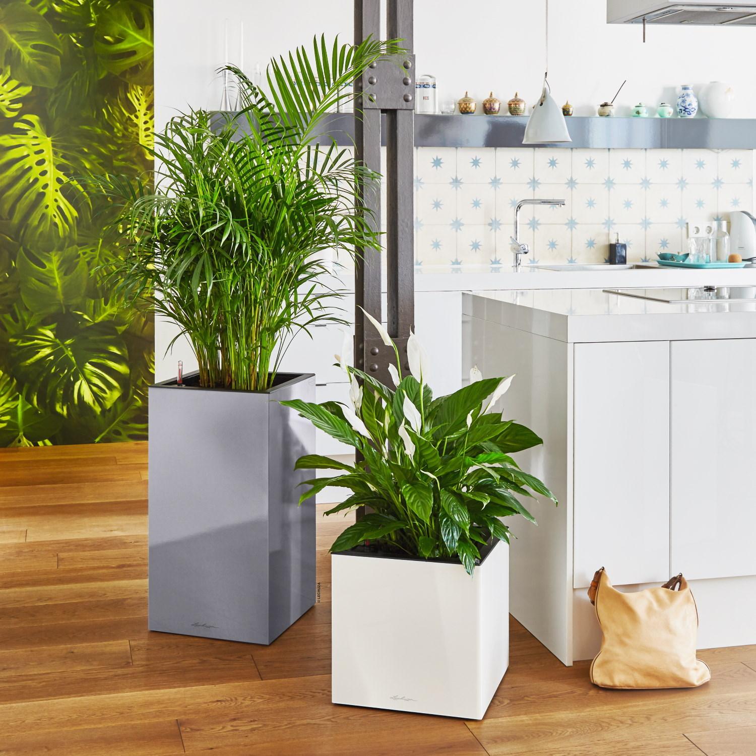 LECHUZA CANTO Low Square Poly Resin Self-watering Planter