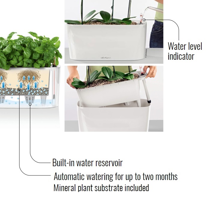 LECHUZA DELTA 10|DELTA 20 Poly Resin Indoor Self-watering Planter