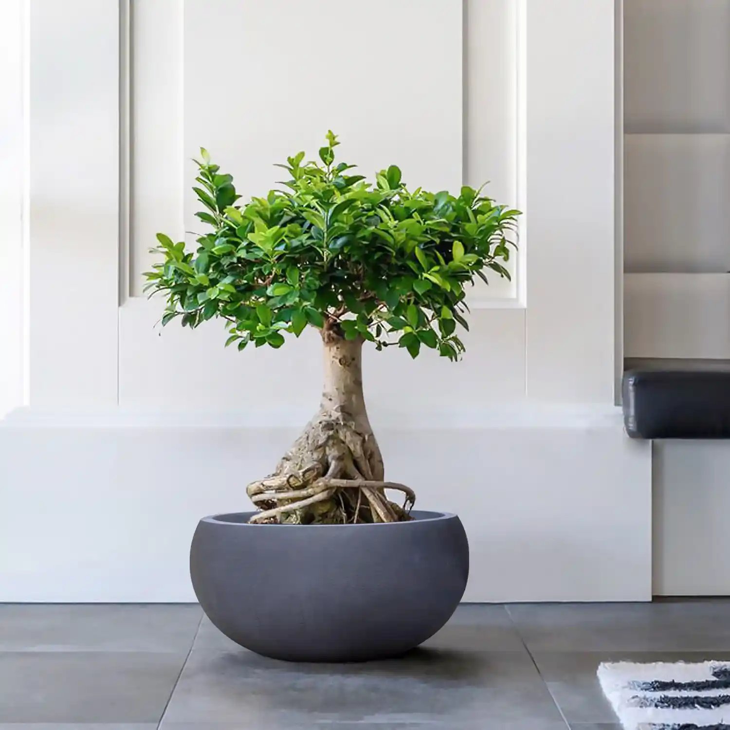 IDEALIST Lite Classic Smooth Bowl Outdoor Planter