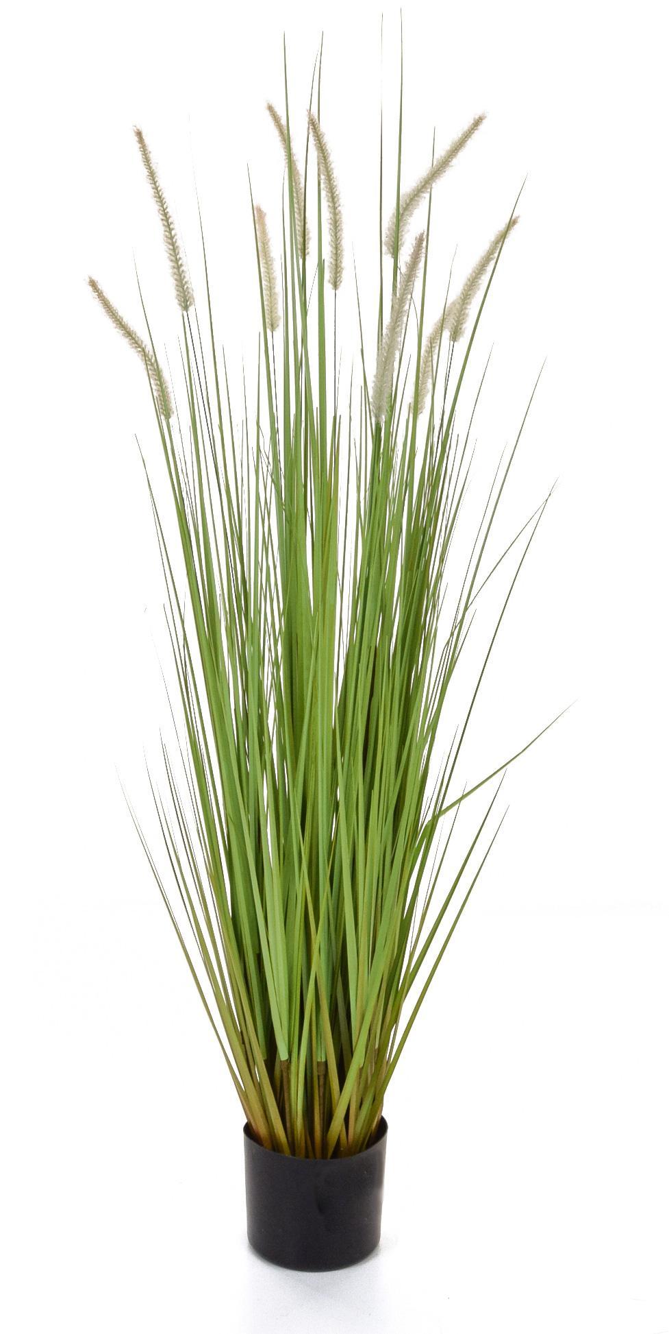 Dogtail with Pot Artificial Grass Plant