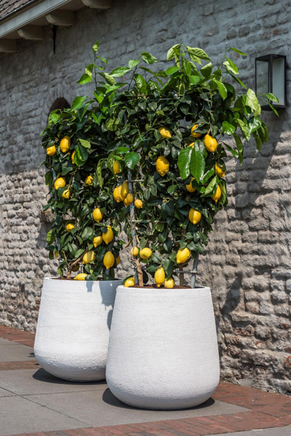 Fibrestone Pax Round Planter by Idealist Premium