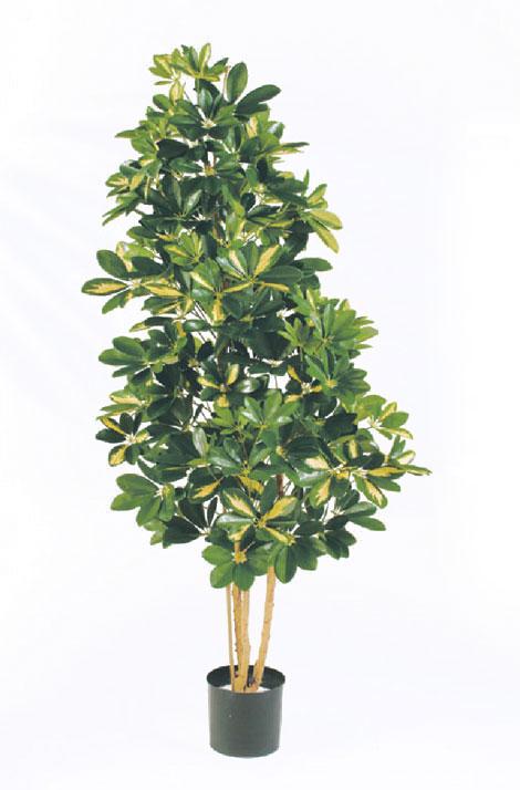 Scheffler Mottled Artificial Tree Plant