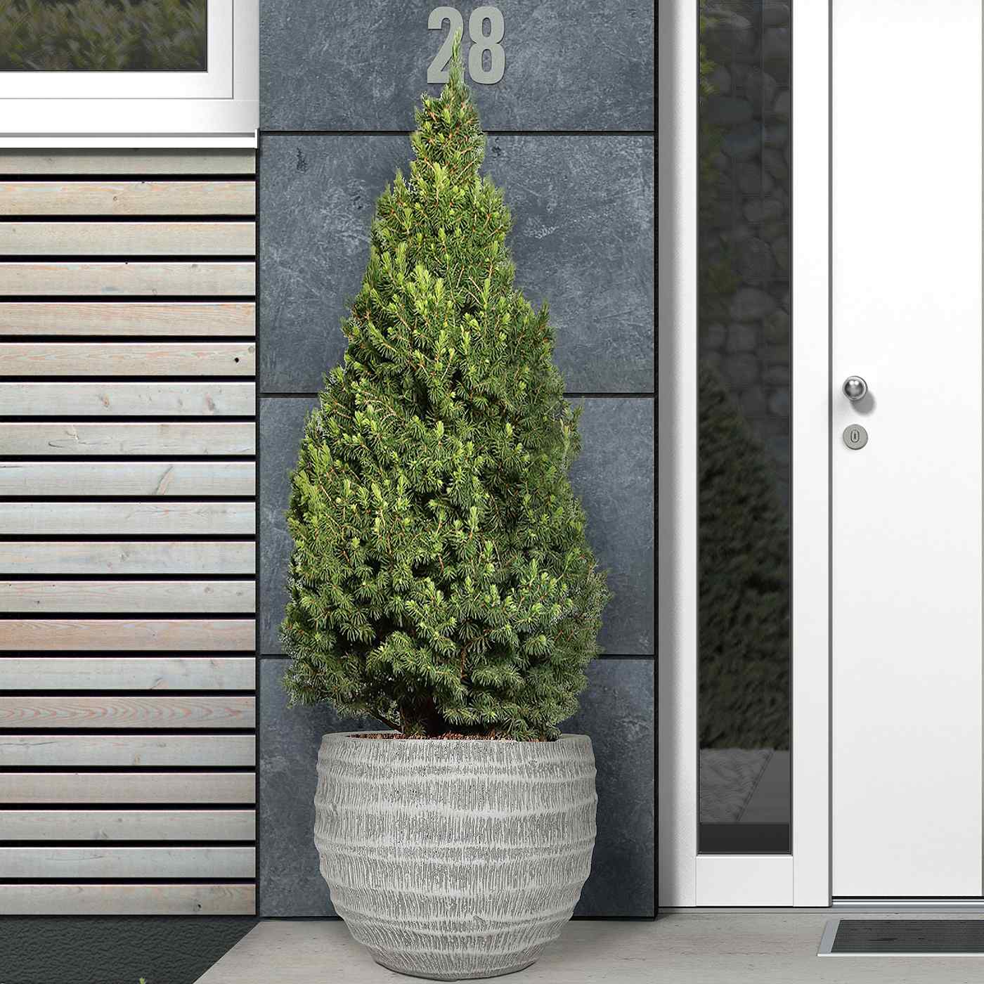 IDEALIST Lite Straw Plaited Style Ball Planter