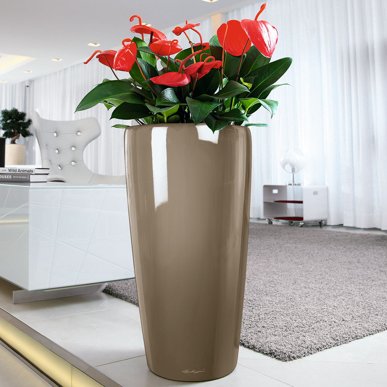 LECHUZA Rondo Round Tall Poly Resin Self-watering Planter