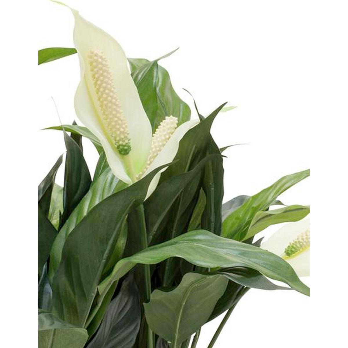 ECONOMY Artificial Grass Plants Sets