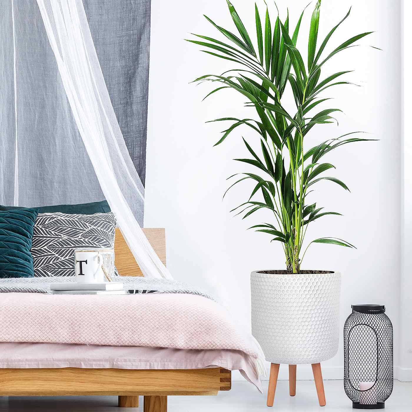 IDEALIST Lite Honeycomb Style Cylinder Planter on Legs, Round Pot Plant Stand Indoor