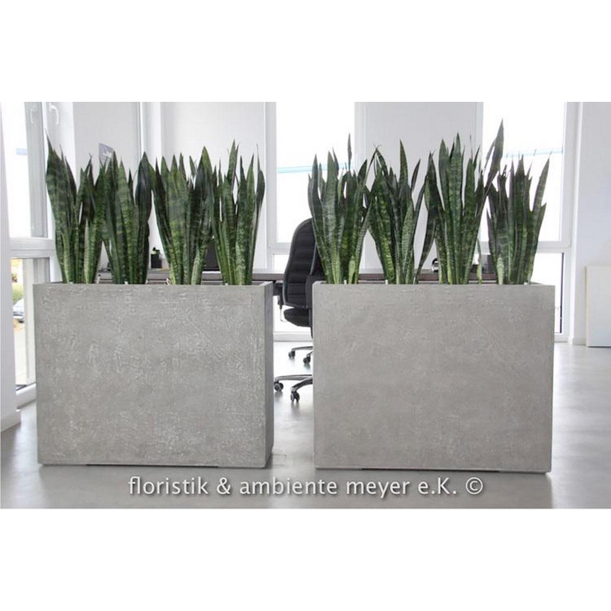 DIVISION Concrete GRC Large Trough Planter Outdoor