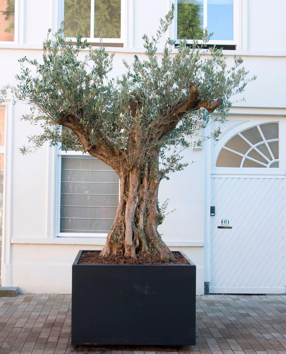 Florida Outdoor Aluminum Square Planter