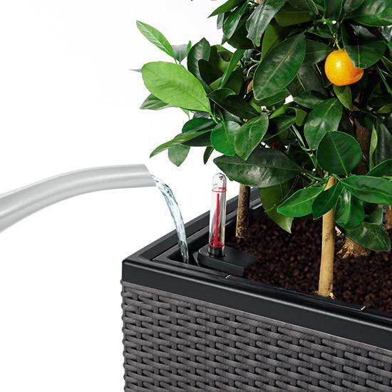 LECHUZA TRIO Cottage Trough Poly Resin Self-watering Planter