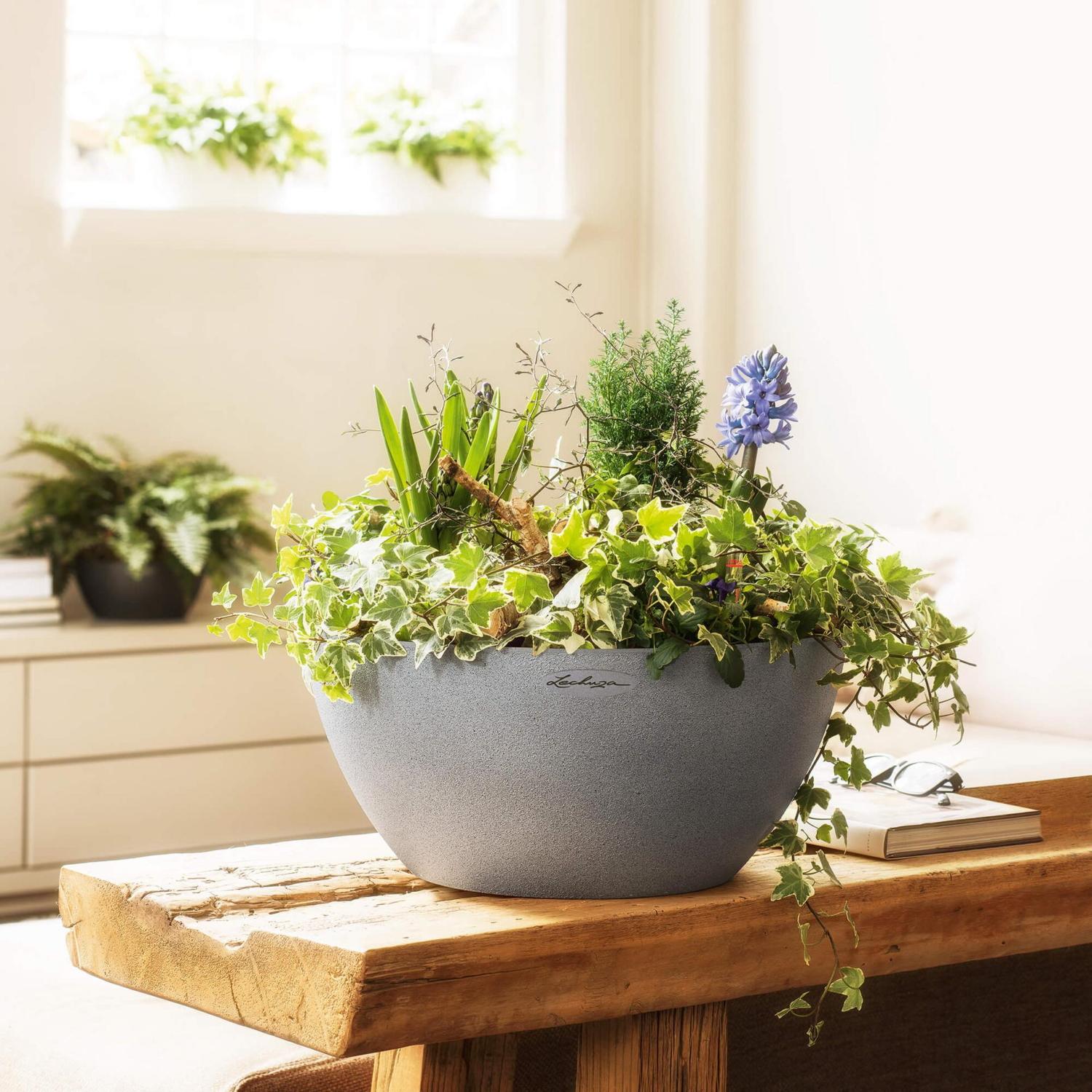 LECHUZA CUBETO COLOR Round Stone Look Poly Resin Self-watering Planter