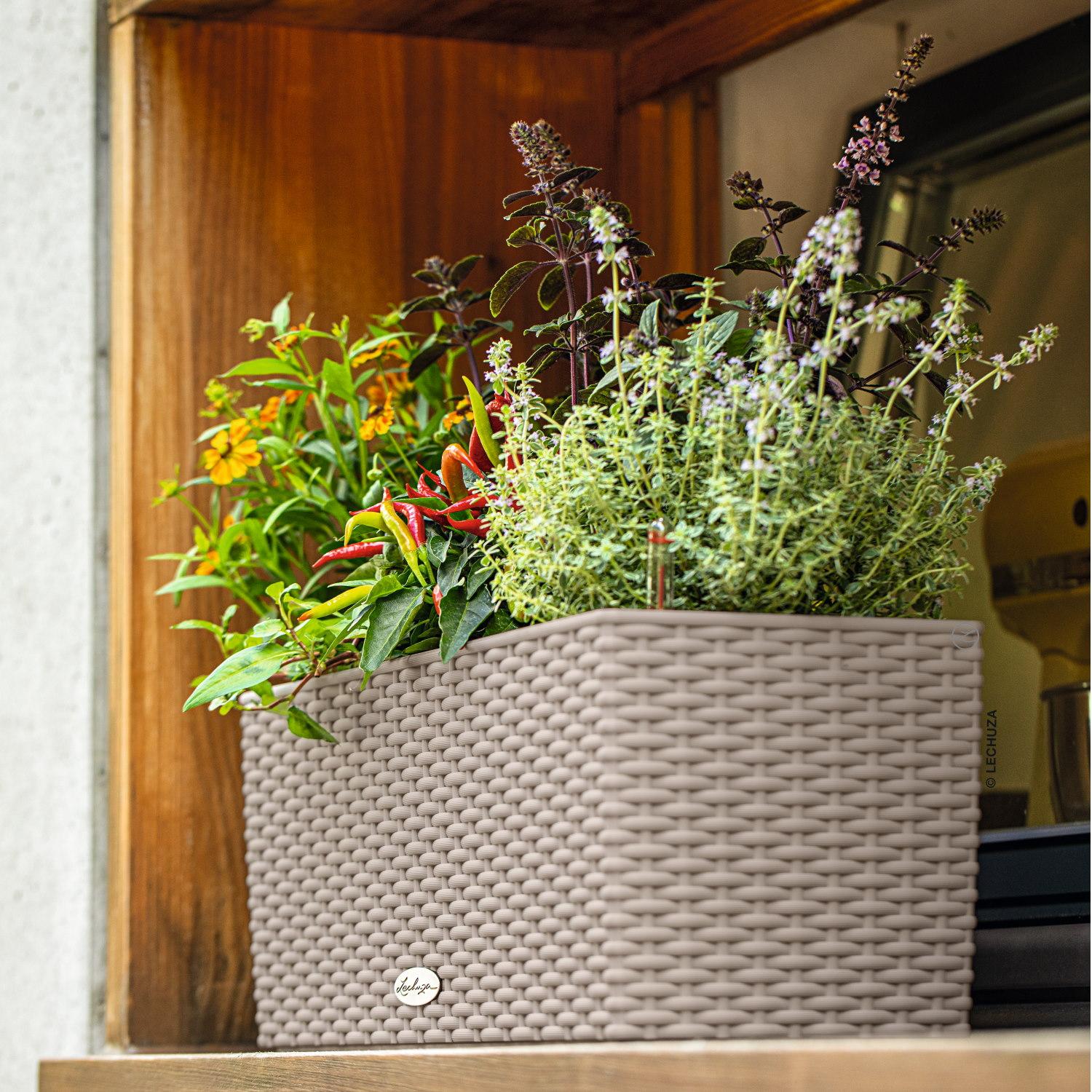 LECHUZA BALCONERA Cottage Trough Poly Resin Self-watering Planter