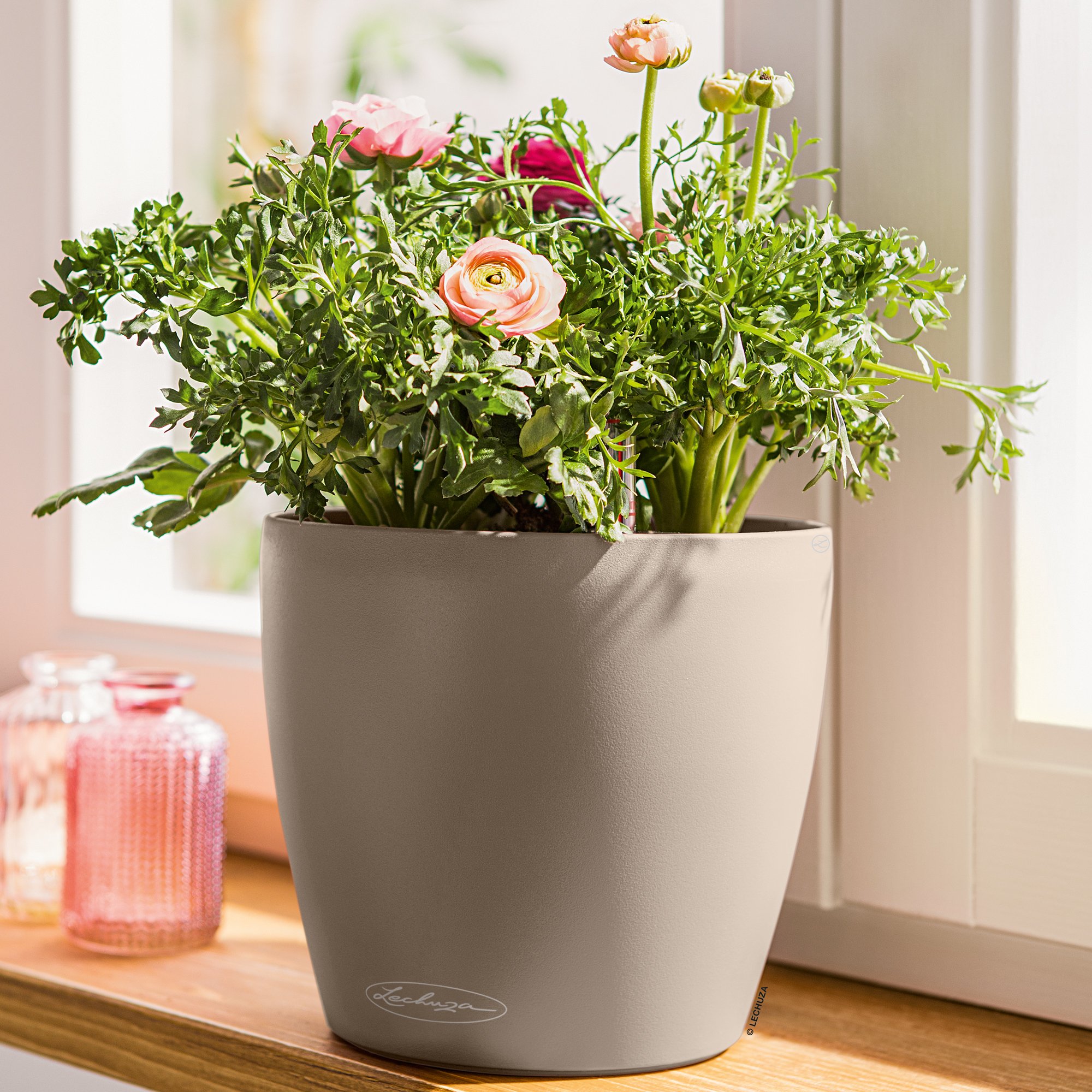 LECHUZA CLASSICO Color Round Poly Resin Self-watering Planter