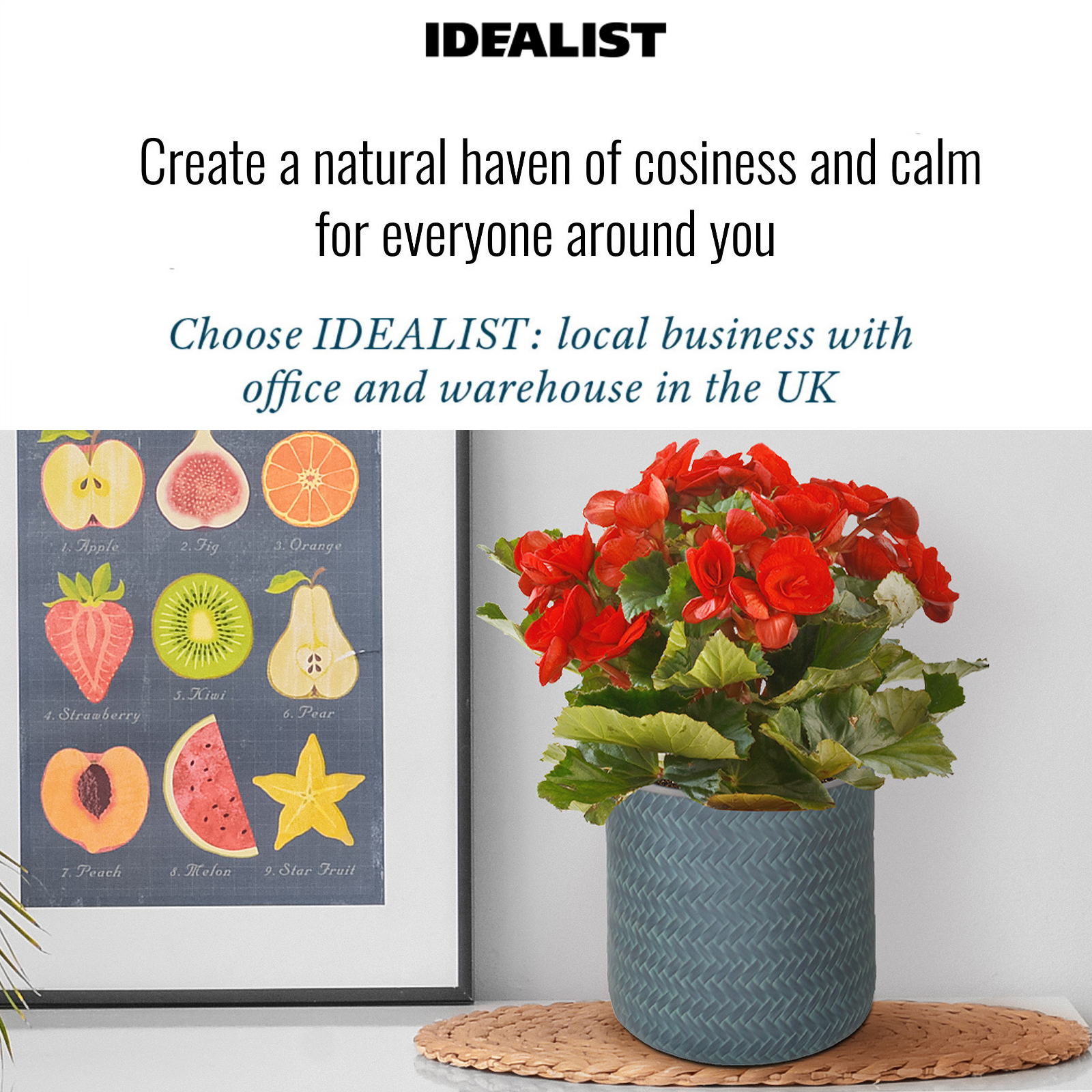 IDEALIST Lite Plaited Style Table and Hanging Cylinder Round Plant Pot Dual Use Indoor Planter