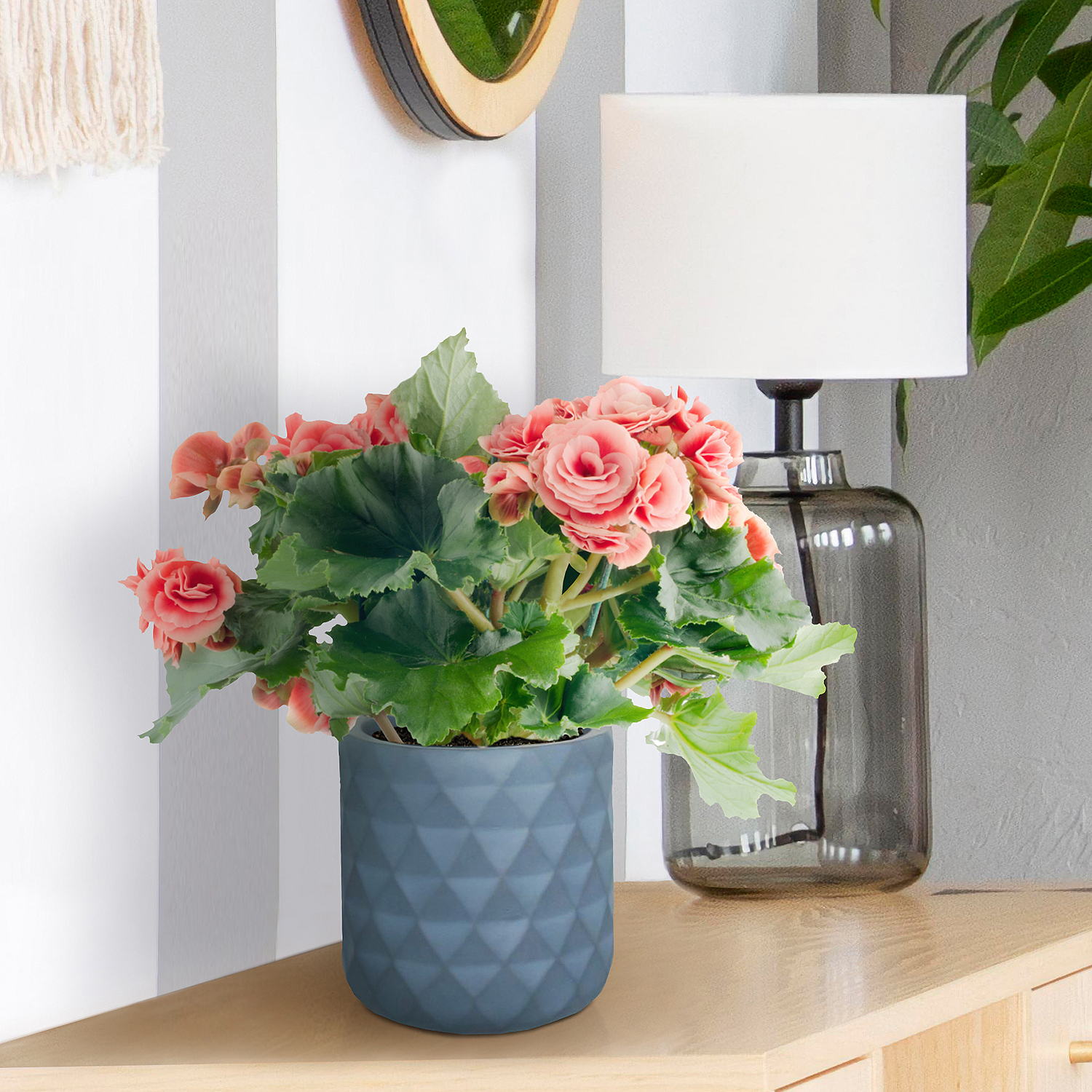 IDEALIST Lite Diamond Style Indoor Hanging Planter