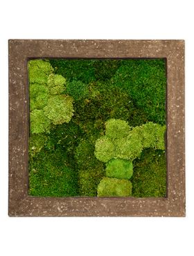 Moss Painting Rock Square