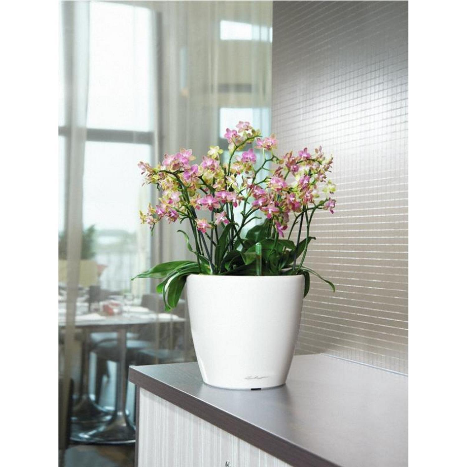 LECHUZA CLASSICO LS Round Poly Resin Self-watering Planter Set