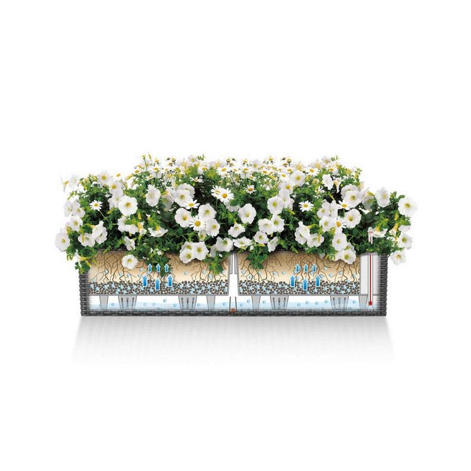 LECHUZA BALCONERA Cottage Trough Poly Resin Self-watering Planter