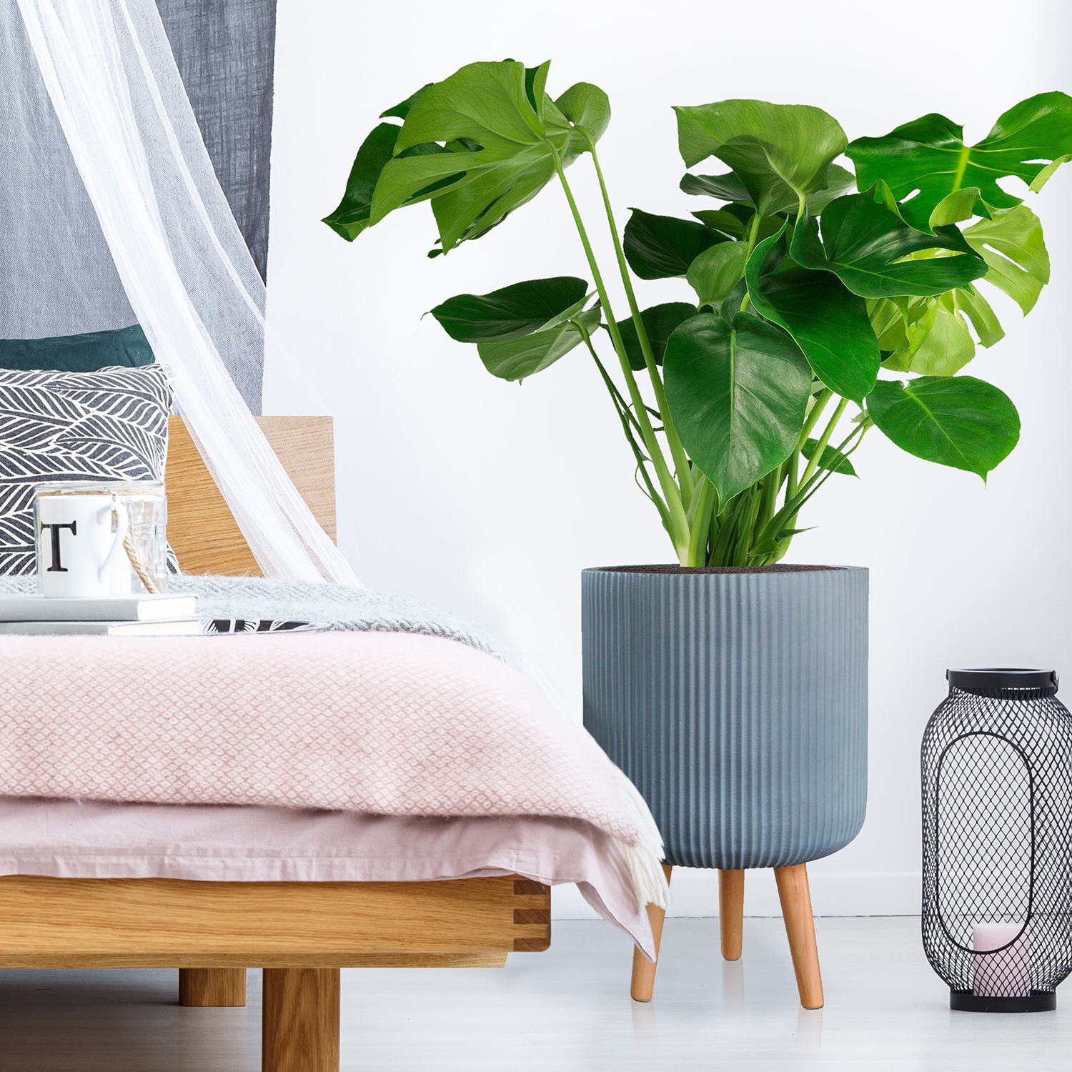 IDEALIST Lite Ribbed Cylinder Planter on Legs, Round Pot Plant Stand Indoor