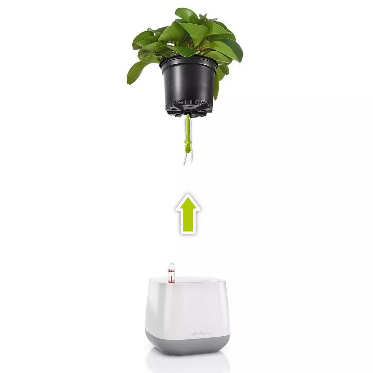 LECHUZA YULA Square Poly Resin Indoor Self-watering Planter