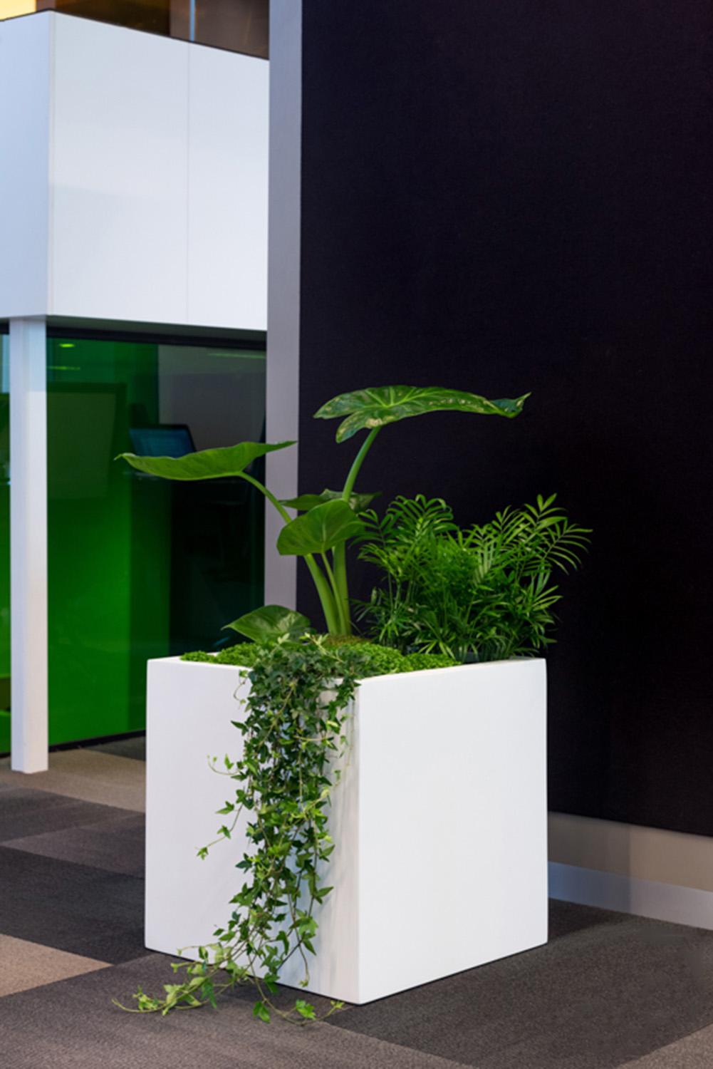 Square Fiberstone Planter by Idealist Premium JUMBO