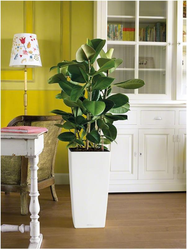 LECHUZA CUBICO Square Tall Poly Resin Self-watering Planter