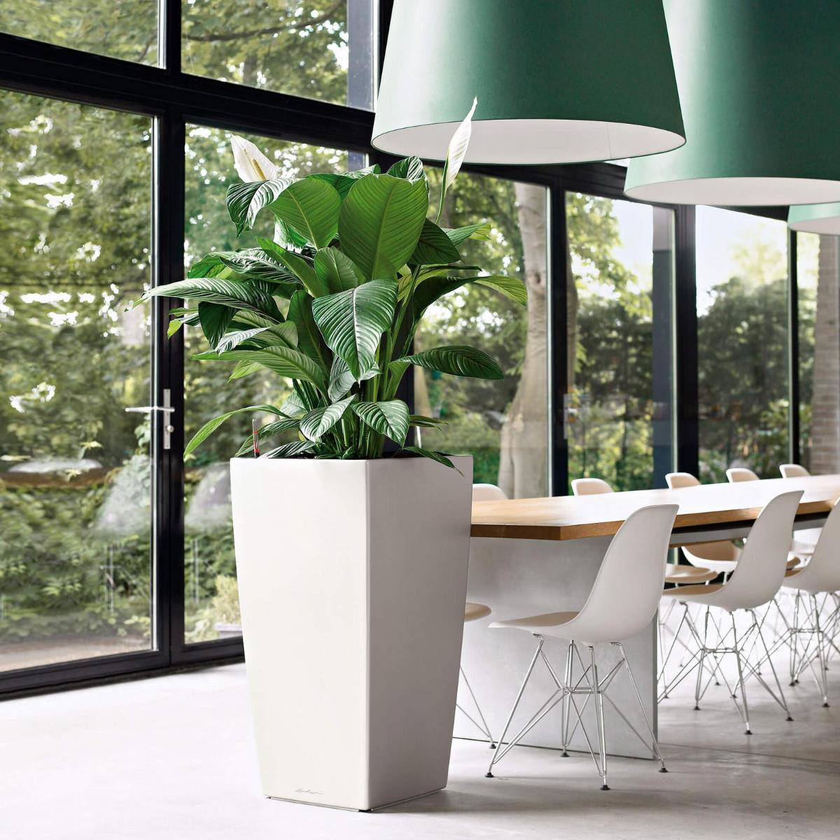 LECHUZA CUBICO Square Tall Poly Resin Self-watering Planter