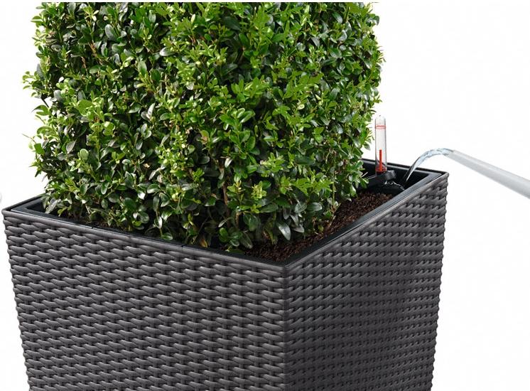 LECHUZA CUBE Cottage Square Poly Resin Self-watering Planter Set