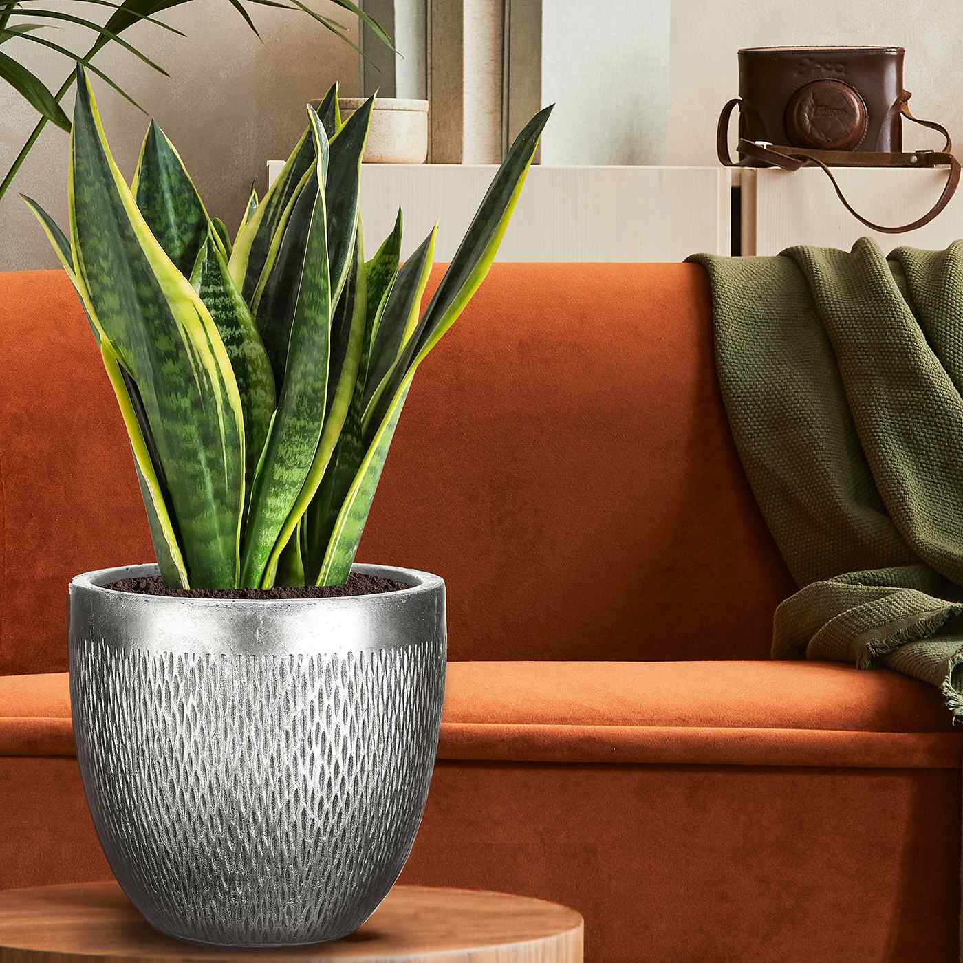 IDEALIST Lite Mesh Style Round Indoor Planter