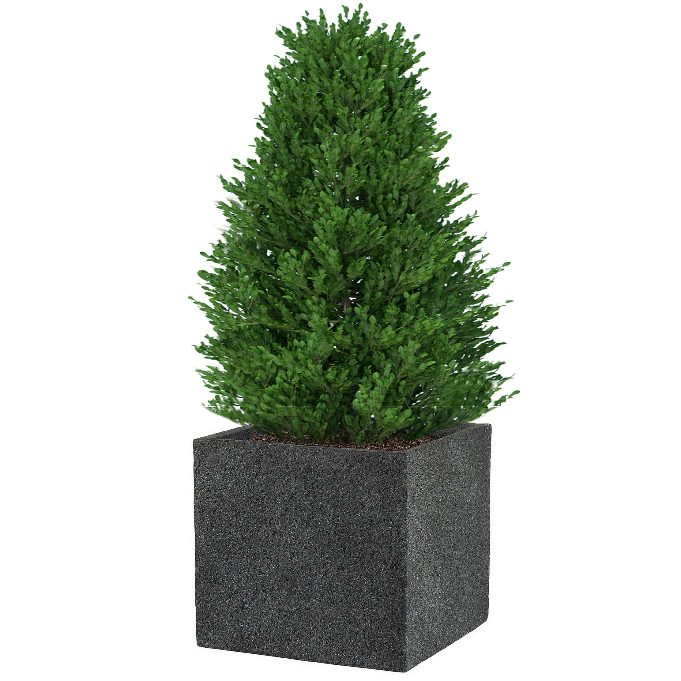 IDEALIST Lite Square Textured Concrete Effect Outdoor Planter