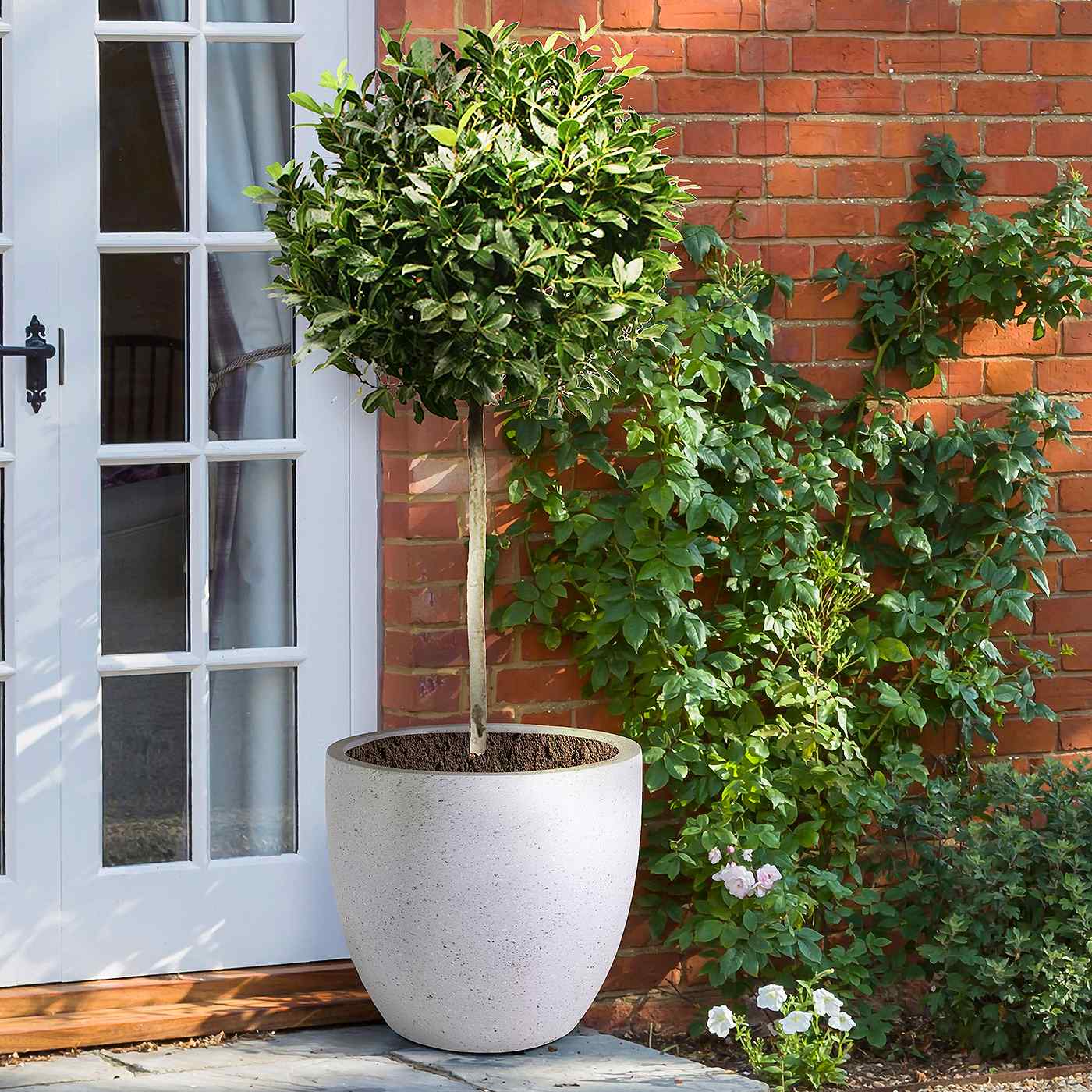 IDEALIST Lite Contemporary Light Concrete Egg Planter