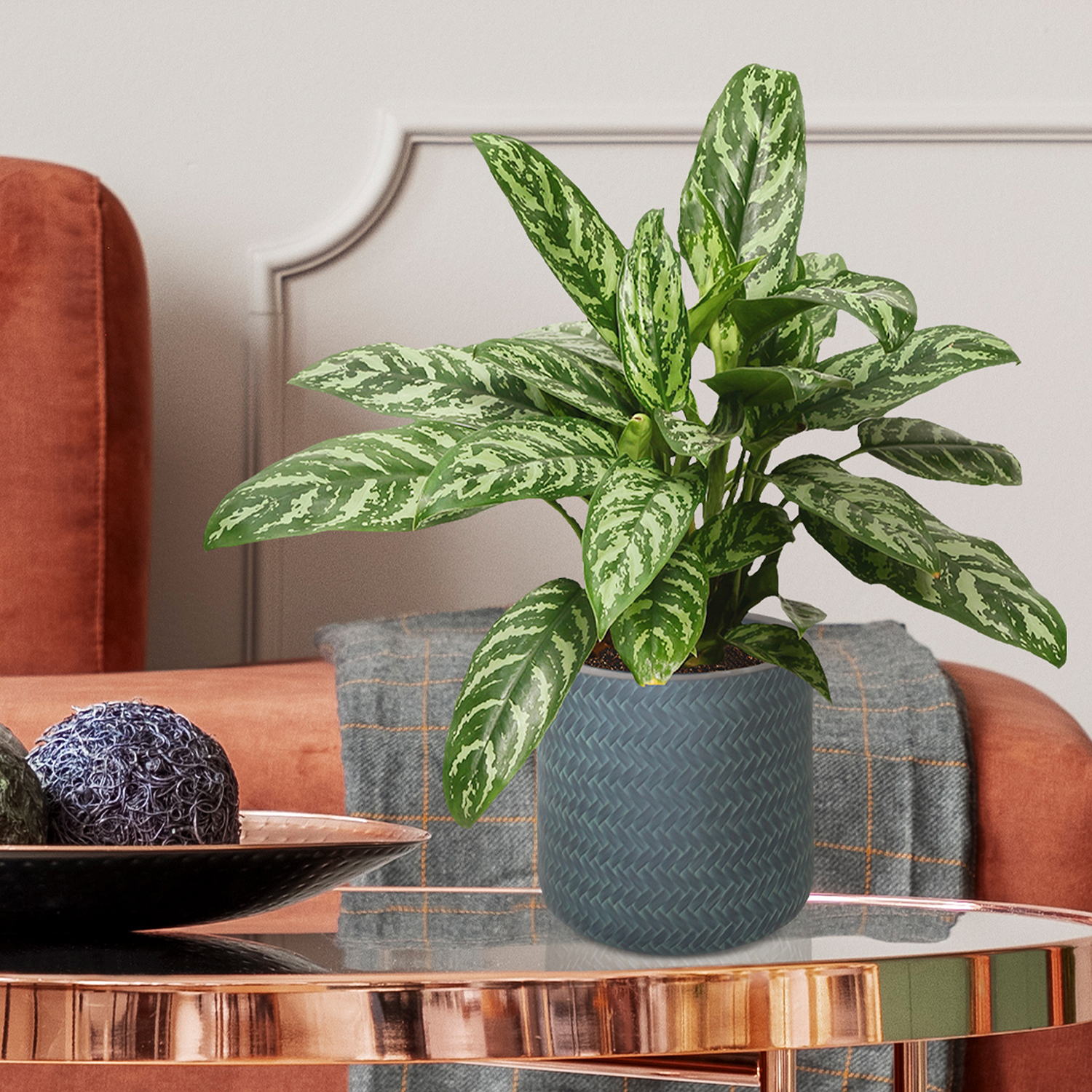 IDEALIST Lite Plaited Style Table and Hanging Cylinder Round Plant Pot Dual Use Indoor Planter