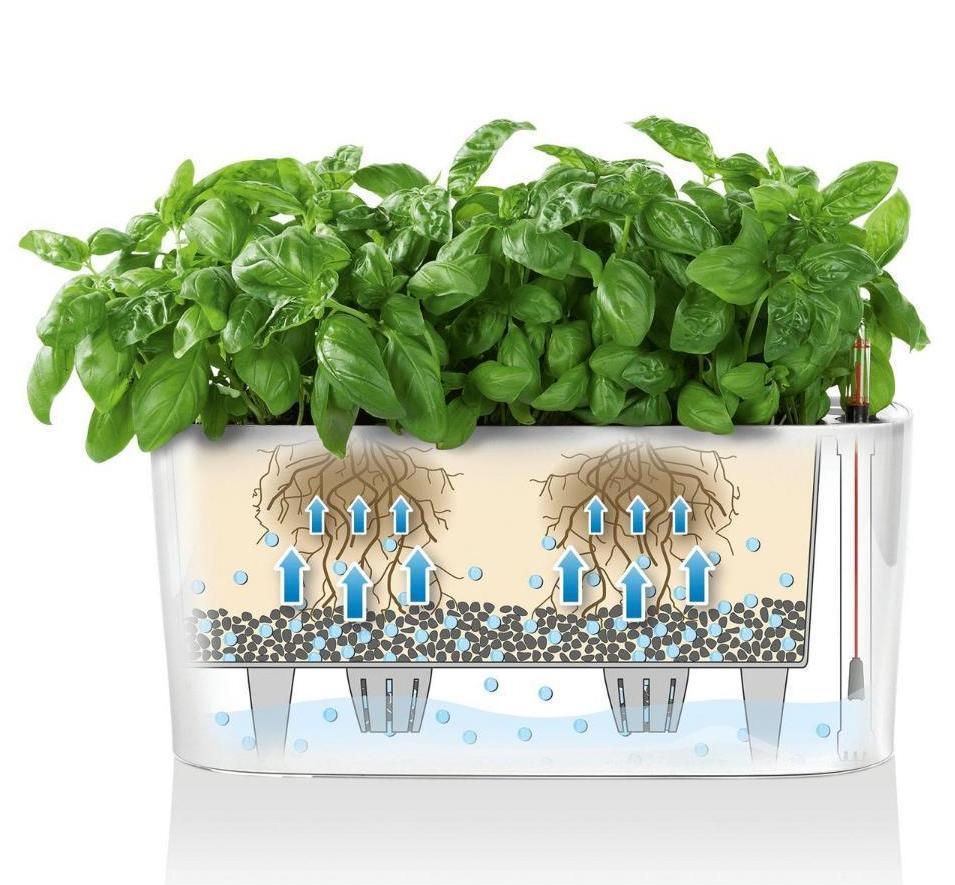 LECHUZA DELTA 10|DELTA 20 Poly Resin Indoor Self-watering Planter