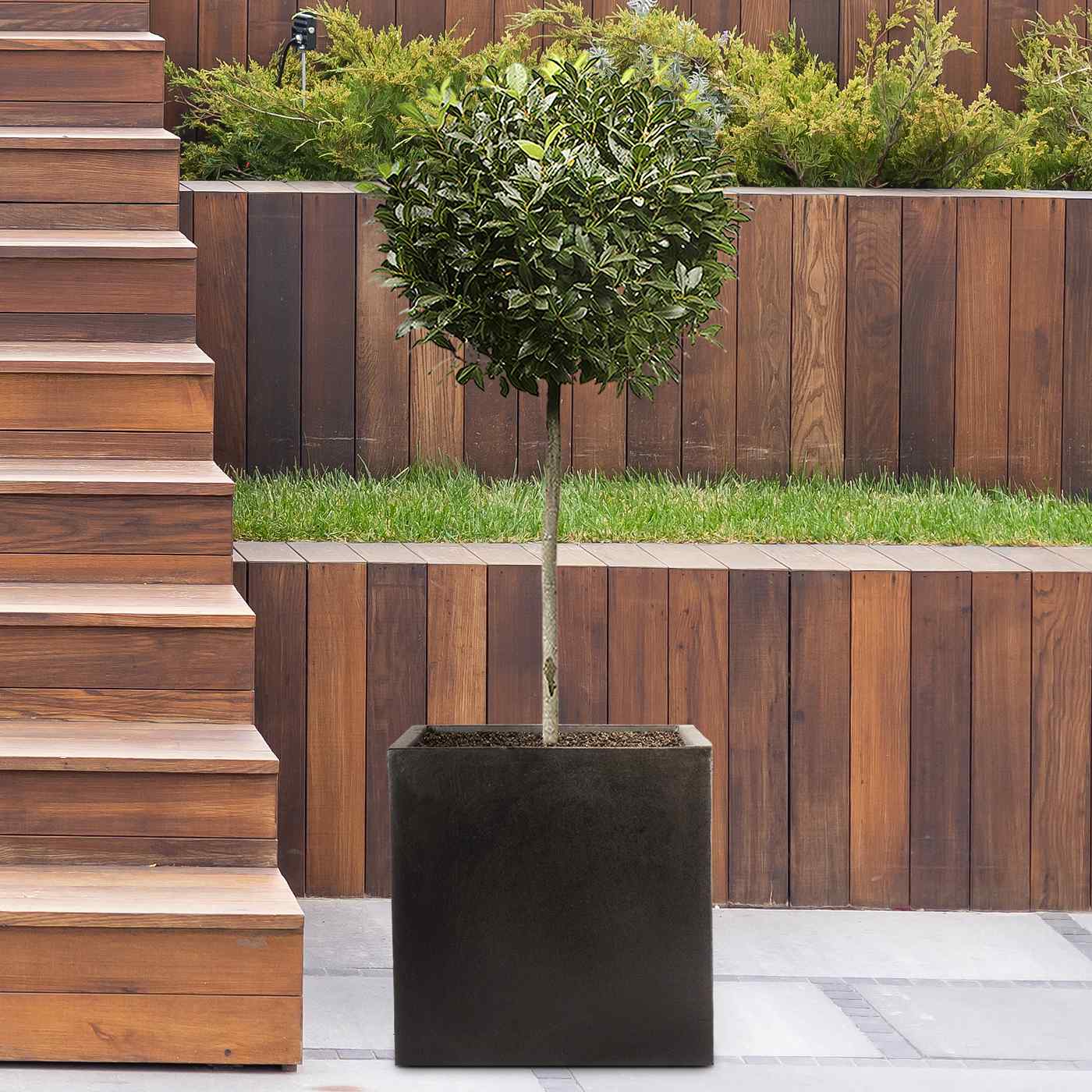 IDEALIST Lite Square Box Contemporary Light Concrete Planter Set