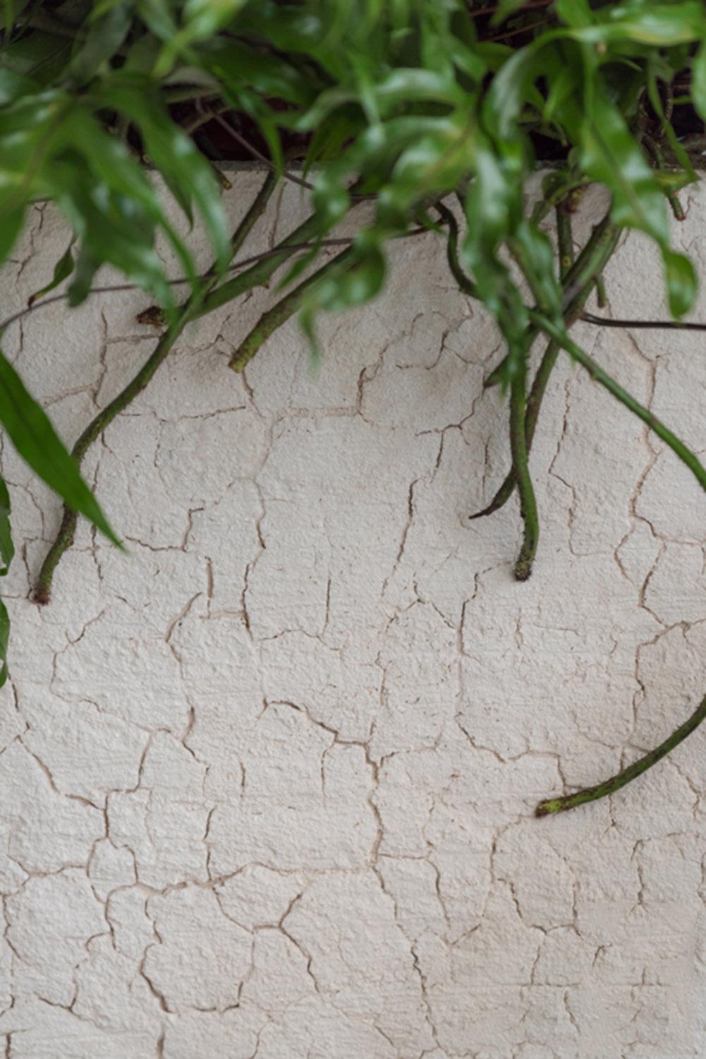 Tall Fiberstone Square Planter by Idealist Premium BOUVY
